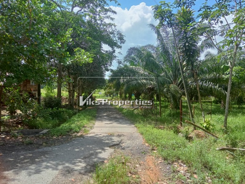 BUKIT JALA