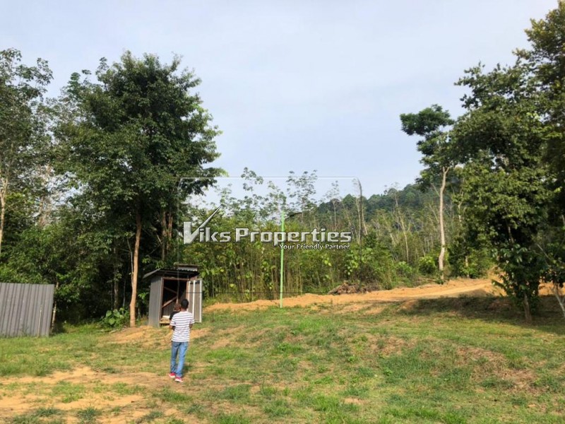 KAMPUNG TERNAS
